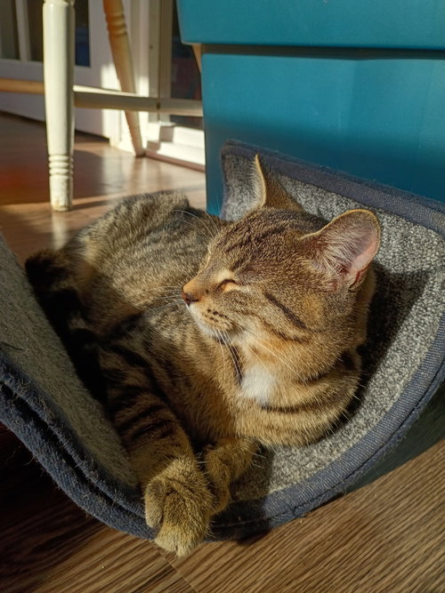 Photo of Roo
