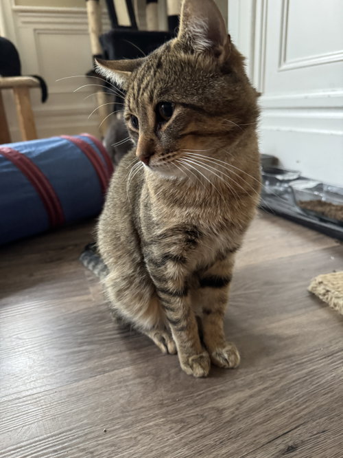 Photo of Dude