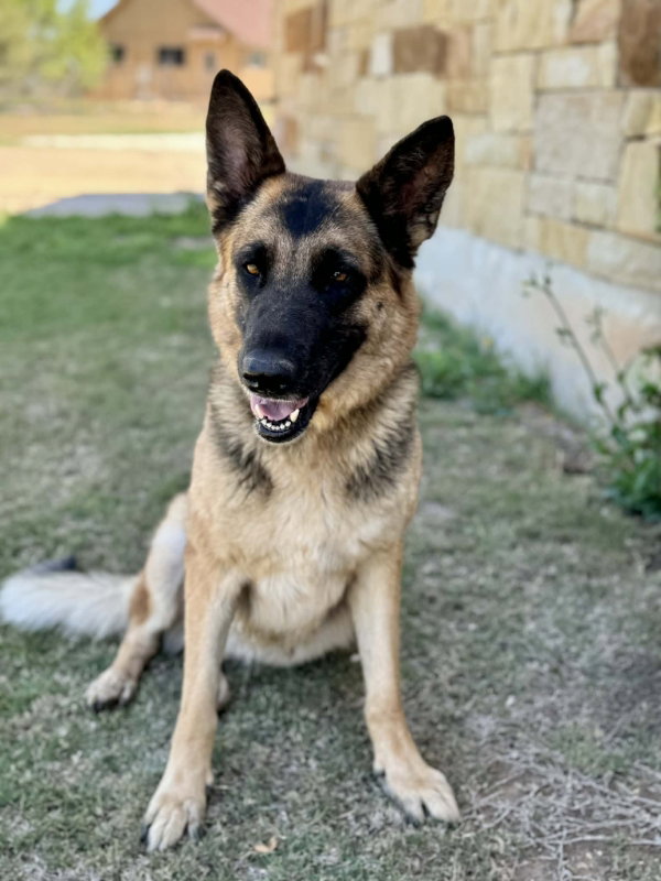 Doja