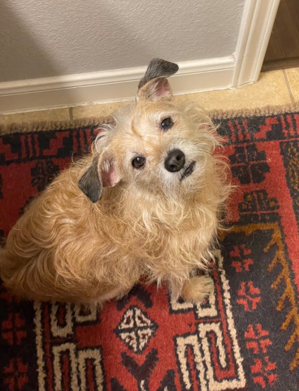 Ellie