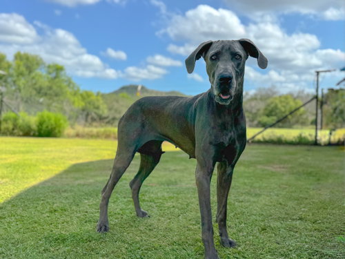 Ellie May photo 4