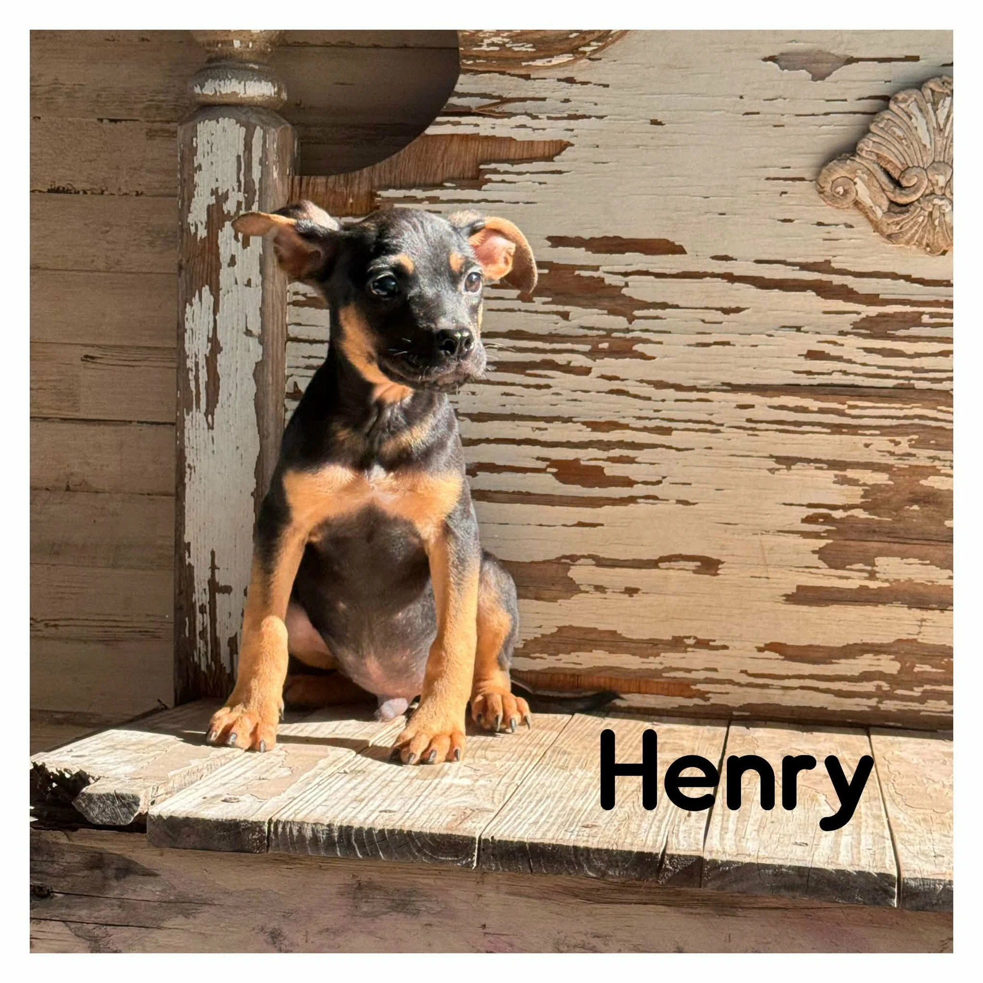 Henry