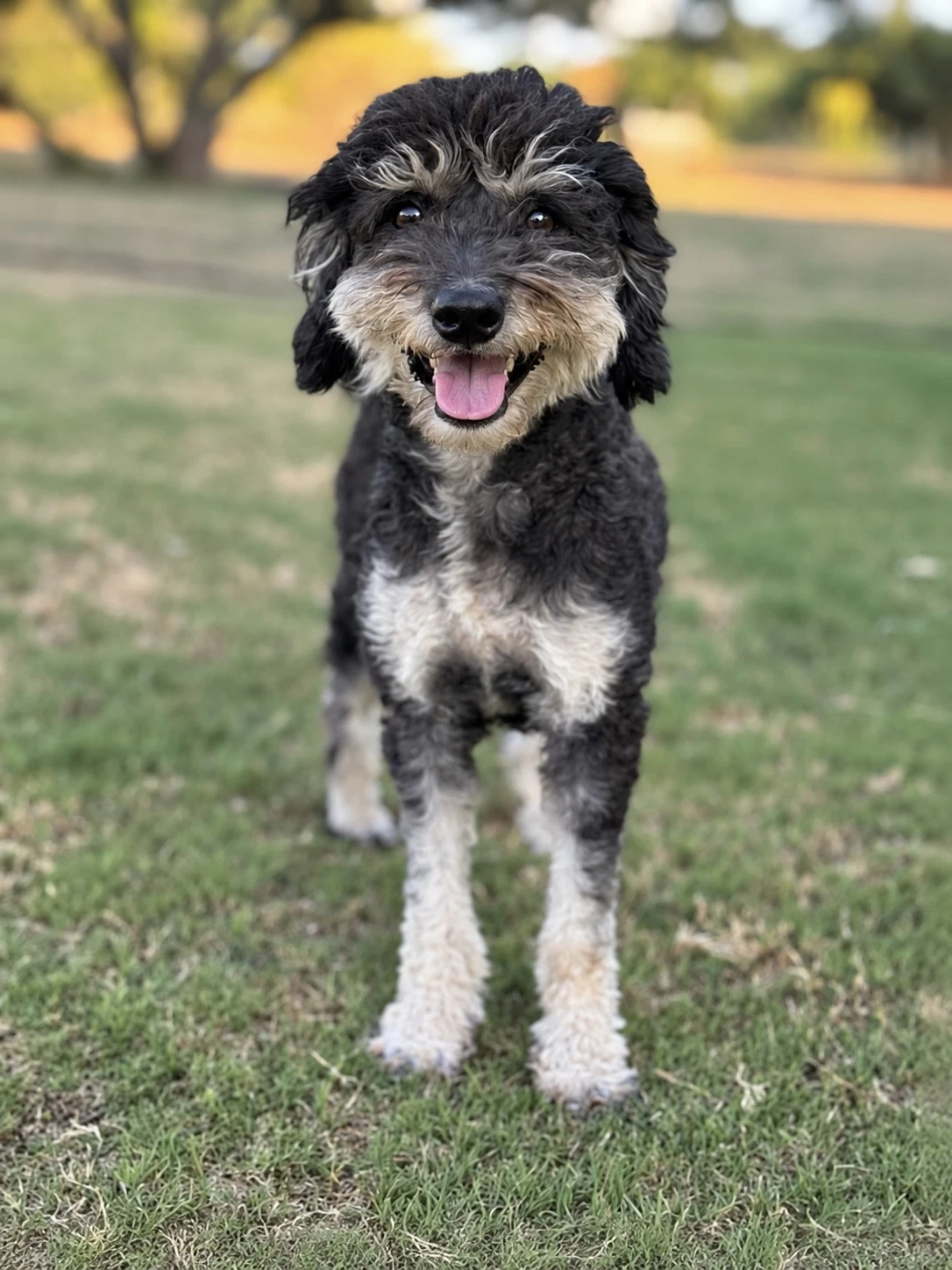 Emmie