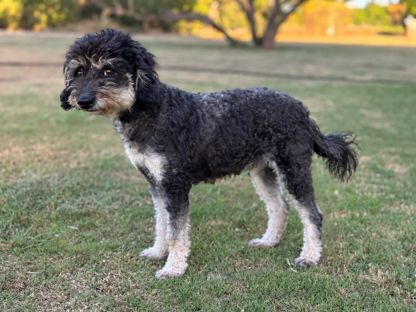 Emmie image 2