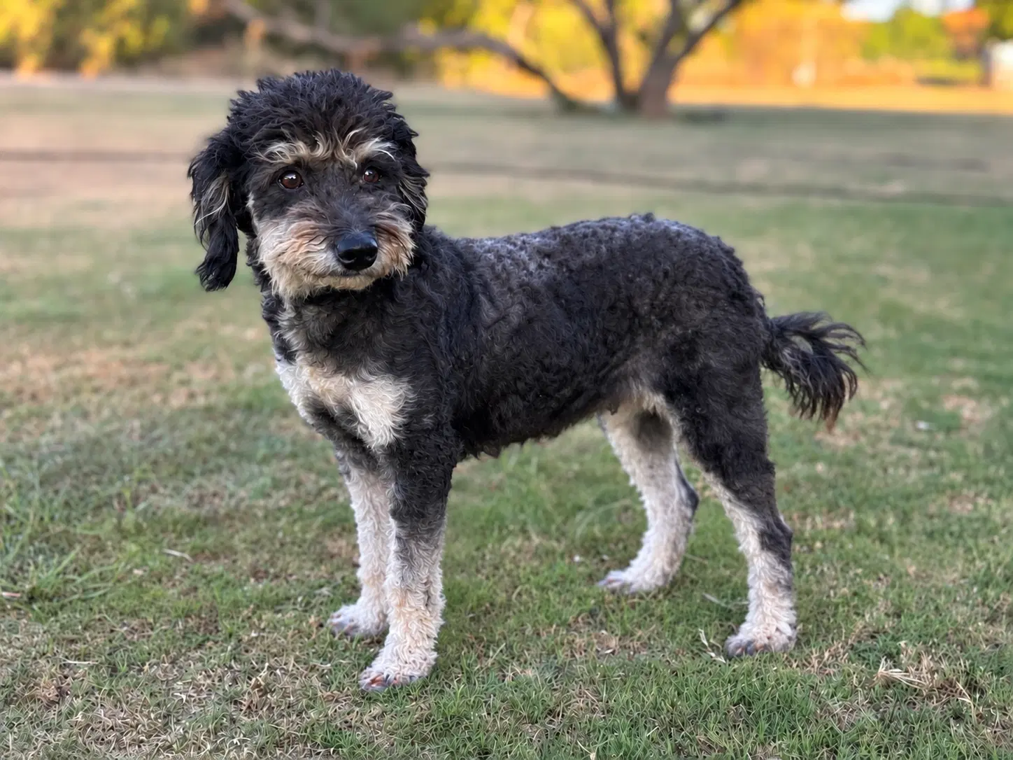 Emmie image 3