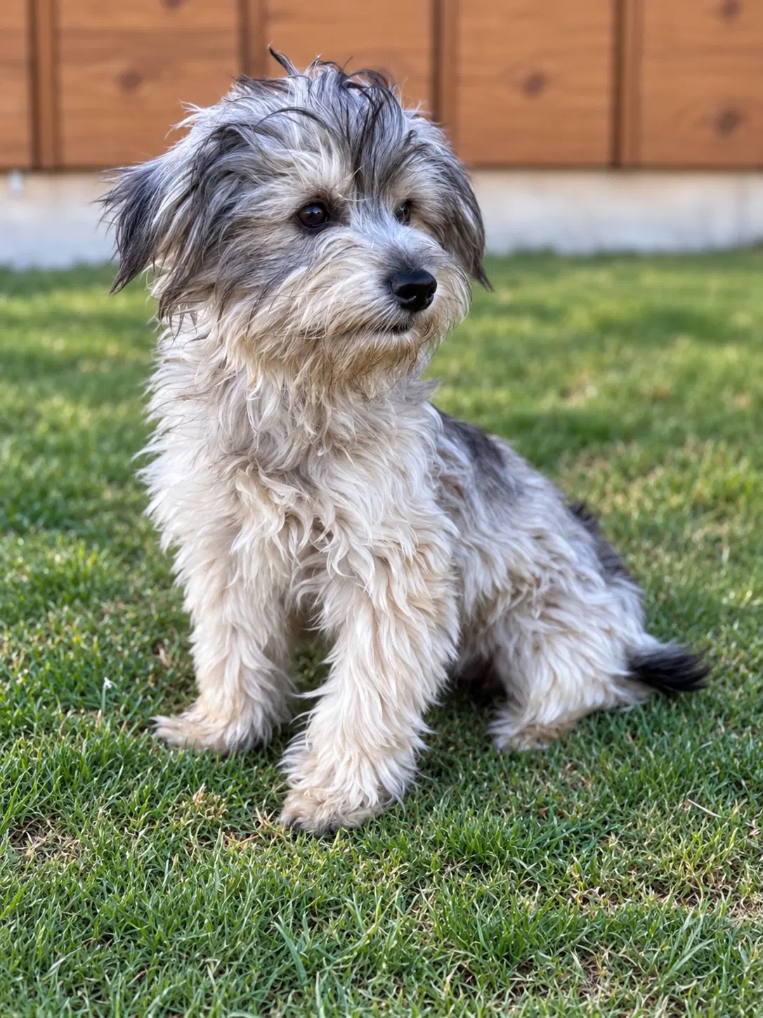 Logan image 2
