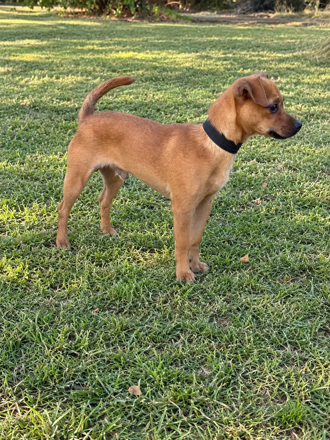 Lorenzo image 2