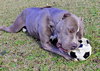 Norma - Photo 2