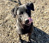Bruno - Photo 2