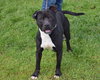 Maverick - Photo 4