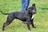 Maverick - Photo 3