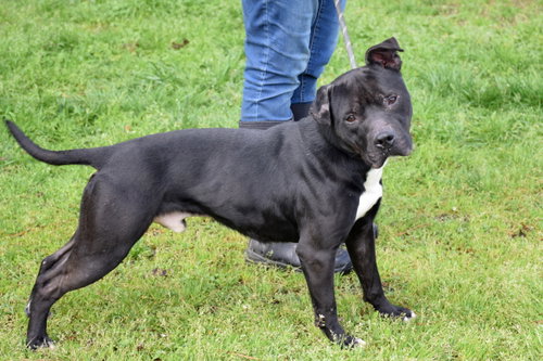 Photo 3 of Maverick
