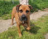 Stella - Photo 4