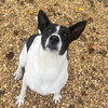 Sandy - Photo 1