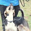 Kirby - Photo 2