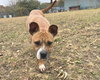Moxie - Photo 3