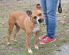 Moxie - Photo 2