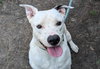 Hudson - Photo 1