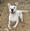 Hudson - Photo 2