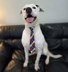 Hudson - Photo 3