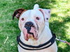 Hercules - Photo 1