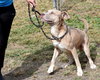 Jenson - Photo 3