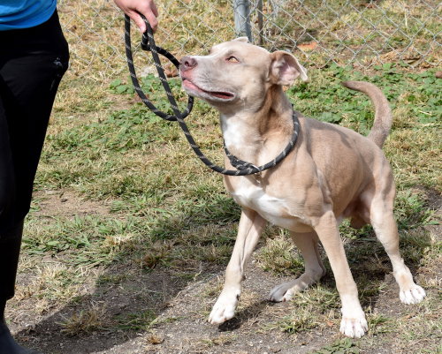 Photo 3 of Jenson
