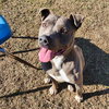 Winnie - Photo 2
