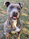 Winnie - Photo 4