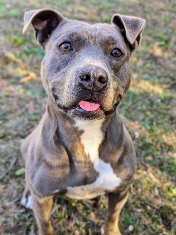 Winnie