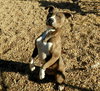 Kassidy - Photo 4