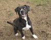 Bruce - Photo 4