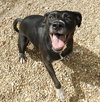 Luna Lemon - Photo 3