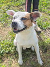 Oakley - Photo 4