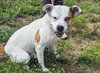 Oakley - Photo 2