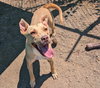 Fiona - Photo 2