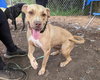 Fiona - Photo 3