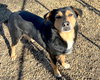Romeo - Photo 3