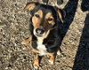 Romeo - Photo 4