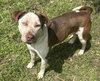 Daphne - Photo 3