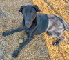 Sinatra - Photo 3