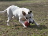 Patches - Photo 2