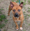 Tito - Photo 2