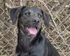Wanda - Photo 1