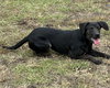 Wanda - Photo 3