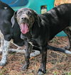 Wanda - Photo 4