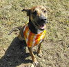 Rocky - Photo 2