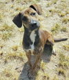 Rocky - Photo 4