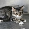 Jean - Photo 2