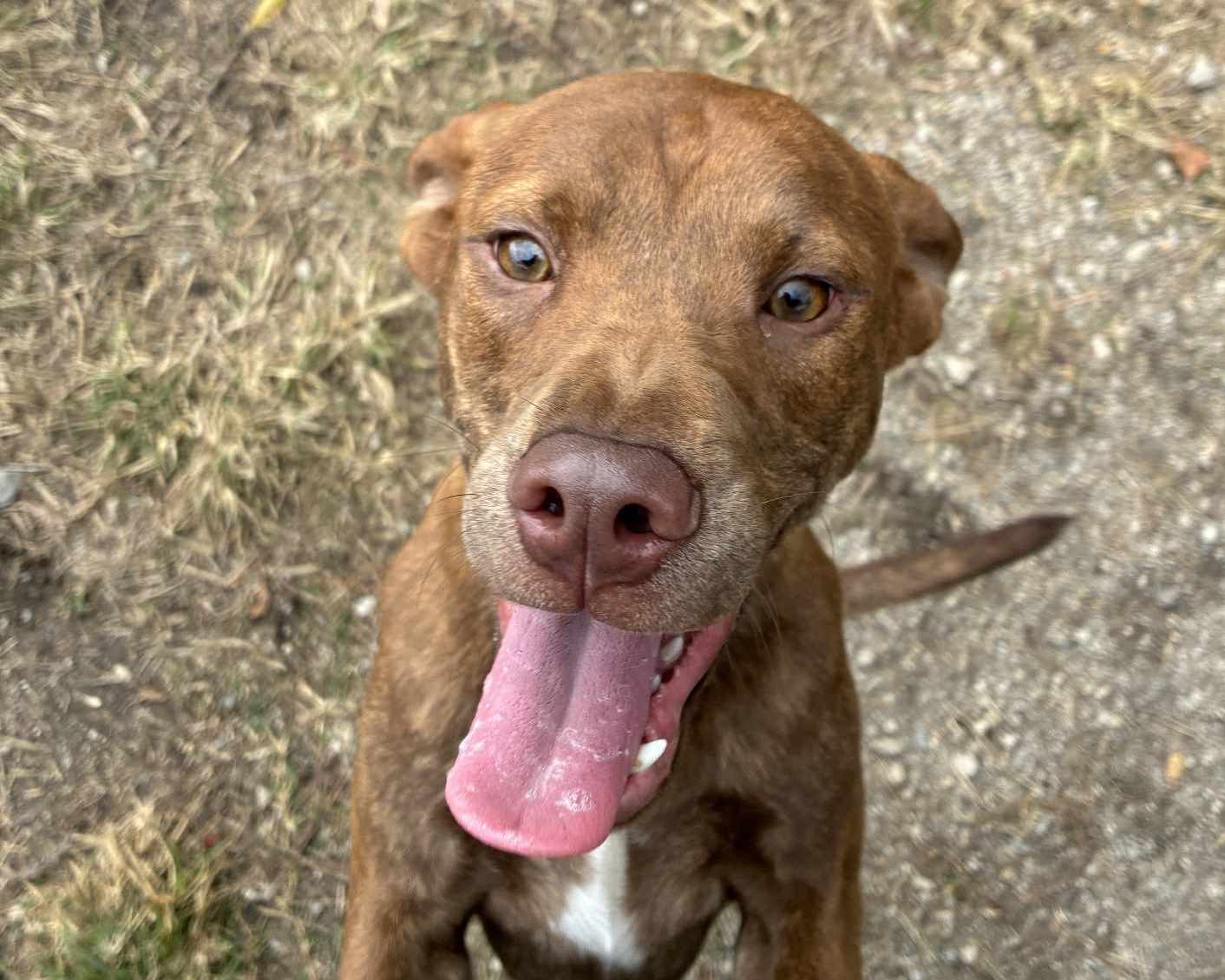 Leroy Image
